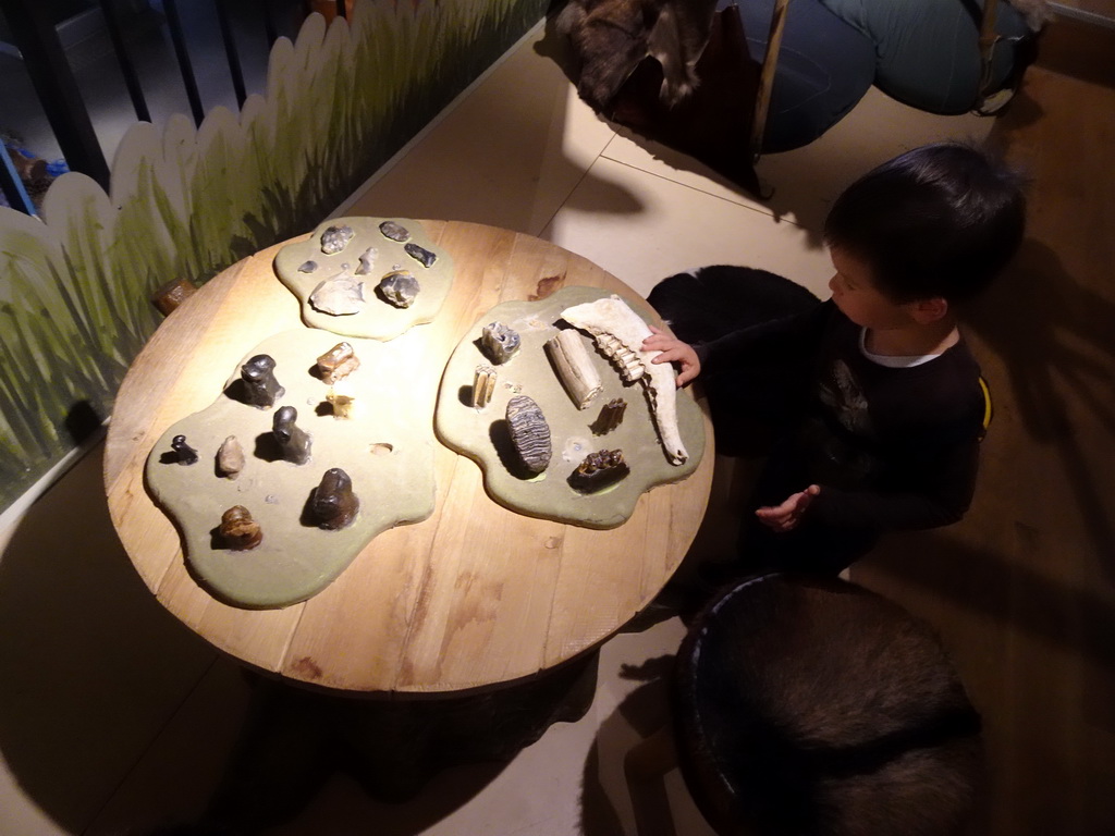 Max at a table with fossilized teeth at the upper floor of the main building of the HistoryLand museum