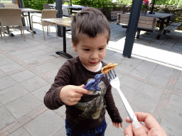 Max playing with a dinosaur toy at the Theetuin restaurant of the HistoryLand museum