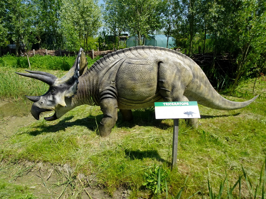 Triceratops statue at the Dinopark area at the HistoryLand museum, with explanation