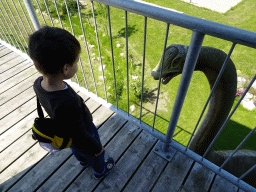 Max at the middle floor of the Spiegelzee building at the HistoryLand museum, with a view on the Diplodocus statue at the Dinpark area