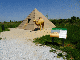 Scale model of an Egyptian pyramid at the HistoryLand museum, with explanation