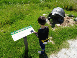 Max with a statue of a Galapagos Tortoise at the Dinopark area at the HistoryLand museum, with explanation