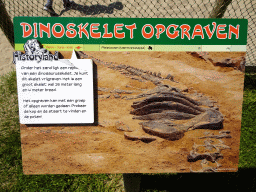 Information on the excavation of a Dinosaur skeleton at the Dinopark area at the HistoryLand museum