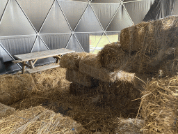 Interior of the Straw Bales House at the GeoFort