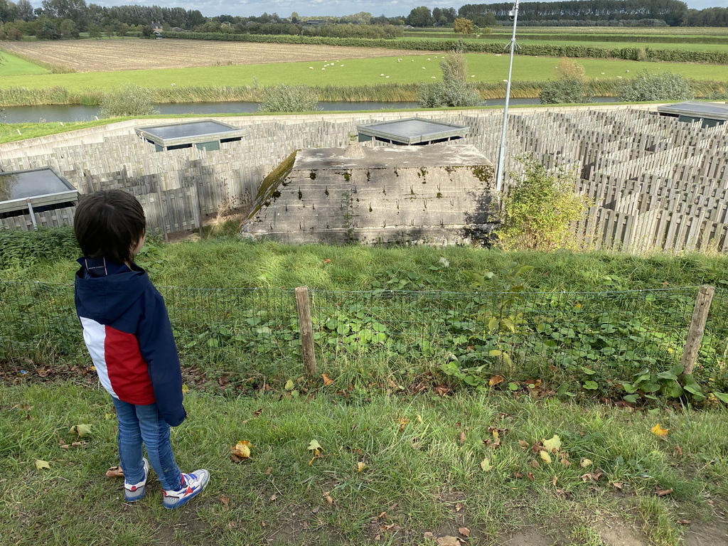 Max on the hill at the GeoFort, with a view on the Salmon Maze and the Elements Maze