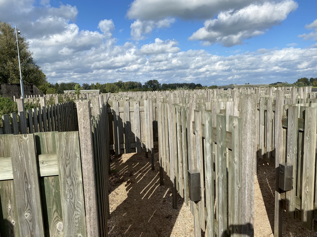 The Salmon Maze at the GeoFort