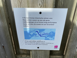 Information on migration of Salmons at the Salmon Maze at the GeoFort
