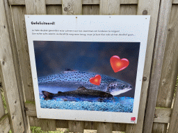 Photograph at the end of the Salmon Maze at the GeoFort