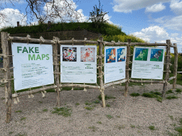 Information on Fake Maps at the GeoFort