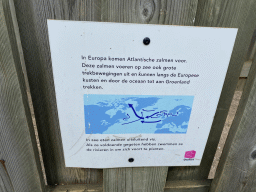 Information on migration of Salmons at the Salmon Maze at the GeoFort