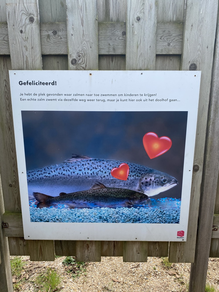 Photograph at the end of the Salmon Maze at the GeoFort