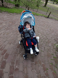 Max at the Safaripark Beekse Bergen