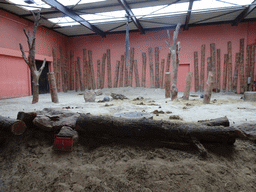 Interior of the Elephant enclosure at the Safaripark Beekse Bergen