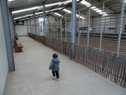 Max in the Giraffe enclosure at the Safaripark Beekse Bergen