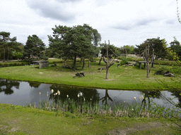 The Primate enclosure at the Safaripark Beekse Bergen