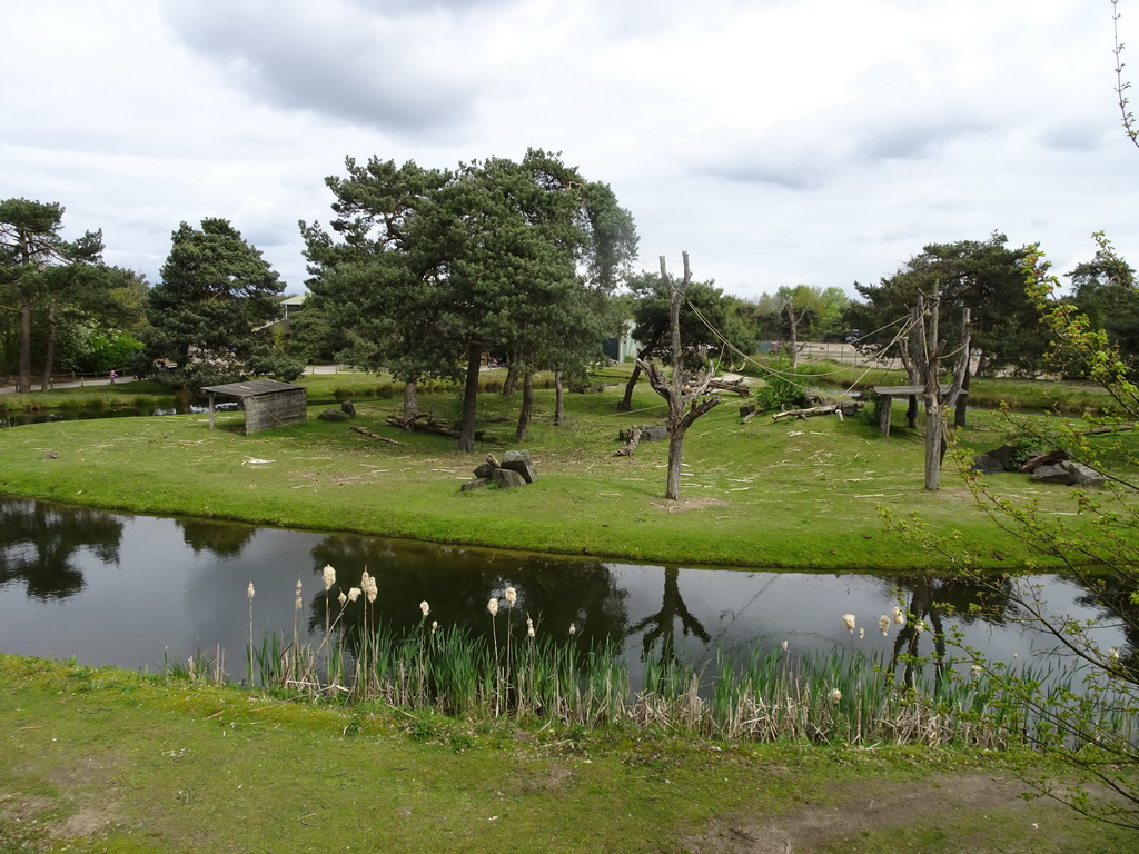 The Primate enclosure at the Safaripark Beekse Bergen