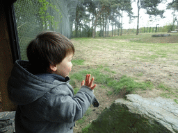 Max with the Lions at the Safaripark Beekse Bergen