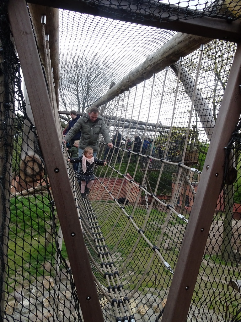 Walkway over the Sloth Bear enclosure at the Safaripark Beekse Bergen