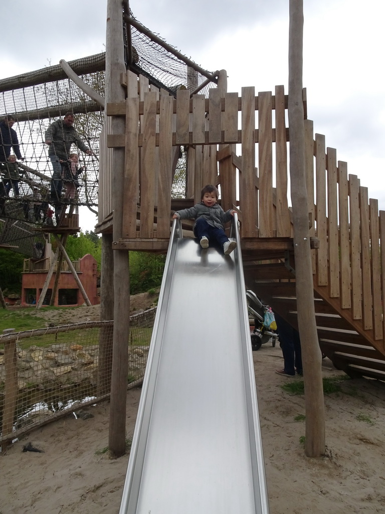 Max at the slide at the Sloth Bear enclosure at the Safaripark Beekse Bergen