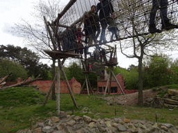 Walkway over the Sloth Bear enclosure at the Safaripark Beekse Bergen