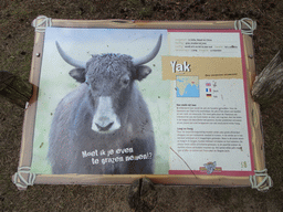 Explanation on the Yak at the Safaripark Beekse Bergen