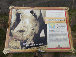 Explanation on the Square-lipped Rhinoceros at the Safaripark Beekse Bergen