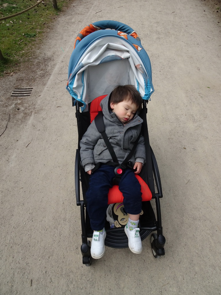 Max sleeping at the Safaripark Beekse Bergen