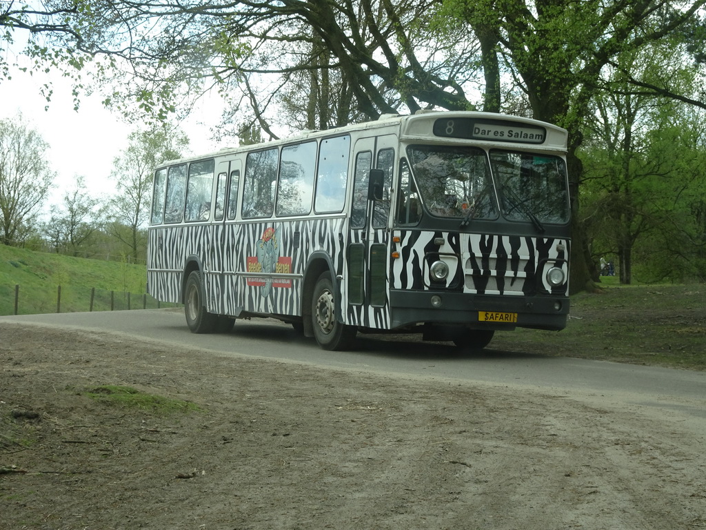 Safari bus at the Safaripark Beekse Bergen, viewed from the car during the Autosafari