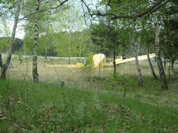 Airplane at the Safaripark Beekse Bergen, viewed from the car during the Autosafari