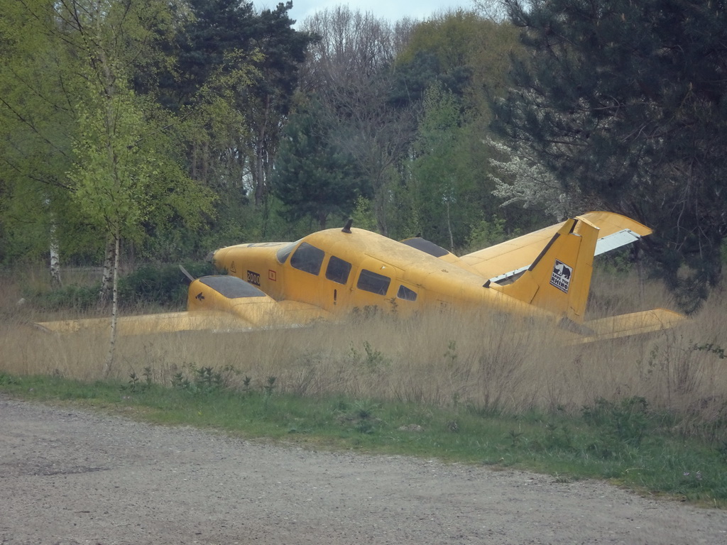 Airplane at the Safaripark Beekse Bergen, viewed from the car during the Autosafari