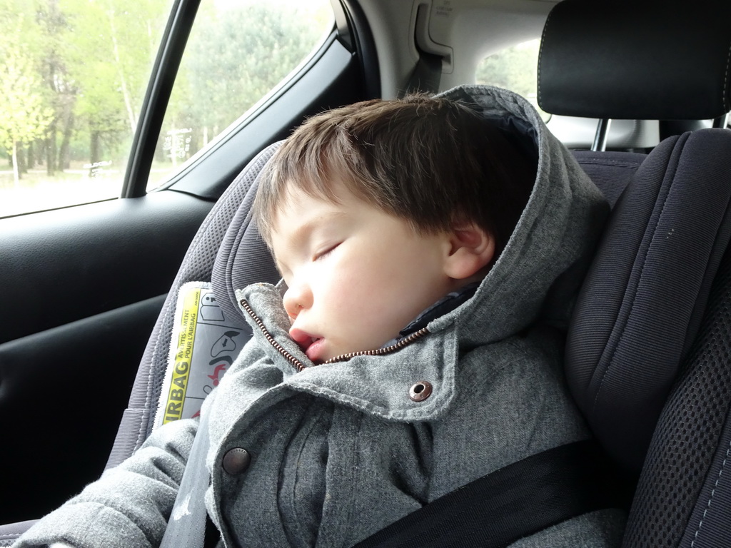 Max sleeping in the car during the Autosafari at the Safaripark Beekse Bergen