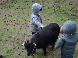 Max and other children with a Goat at the Petting Zoo at the Afrikadorp village at the Safaripark Beekse Bergen