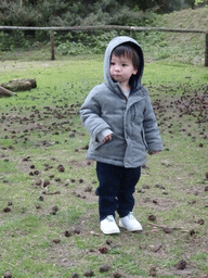 Max at the Petting Zoo at the Afrikadorp village at the Safaripark Beekse Bergen