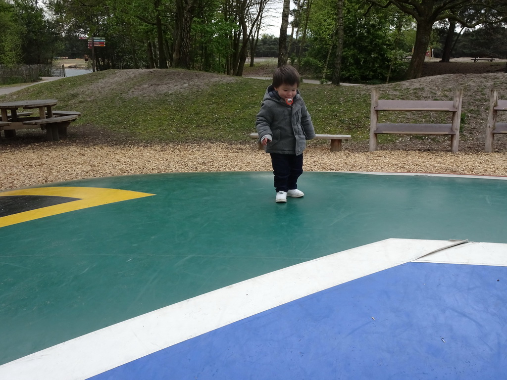 Max on the trampoline near the Kongo restaurant at the Safaripark Beekse Bergen