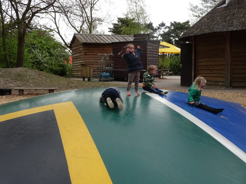Max and other children on the trampoline near the Kongo restaurant at the Safaripark Beekse Bergen