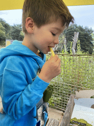 Max having lunch at the terrace of the Kongo restaurant at the Safaripark Beekse Bergen