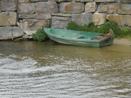 California Sea Lions at the Safaripark Beekse Bergen