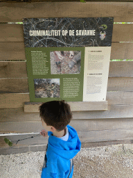 Information on crime on the savannah at the Poachers Hut of Omari at the Safaripark Beekse Bergen