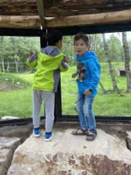 Max and his friend looking at the African Wild Dogs at the Safaripark Beekse Bergen