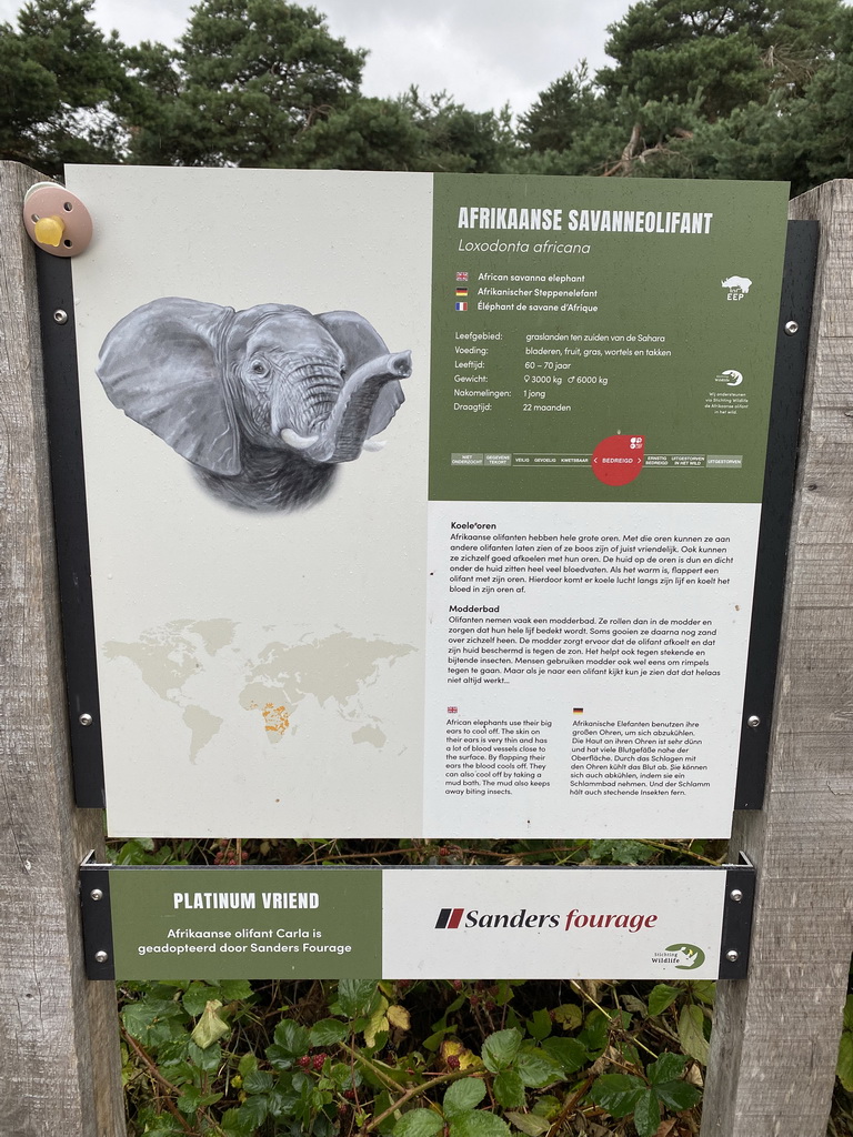 Explanation on the African Elephant at the Safaripark Beekse Bergen