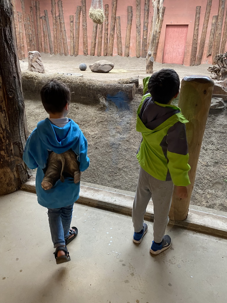 Max and his friend at the Elephant enclosure at the Safaripark Beekse Bergen