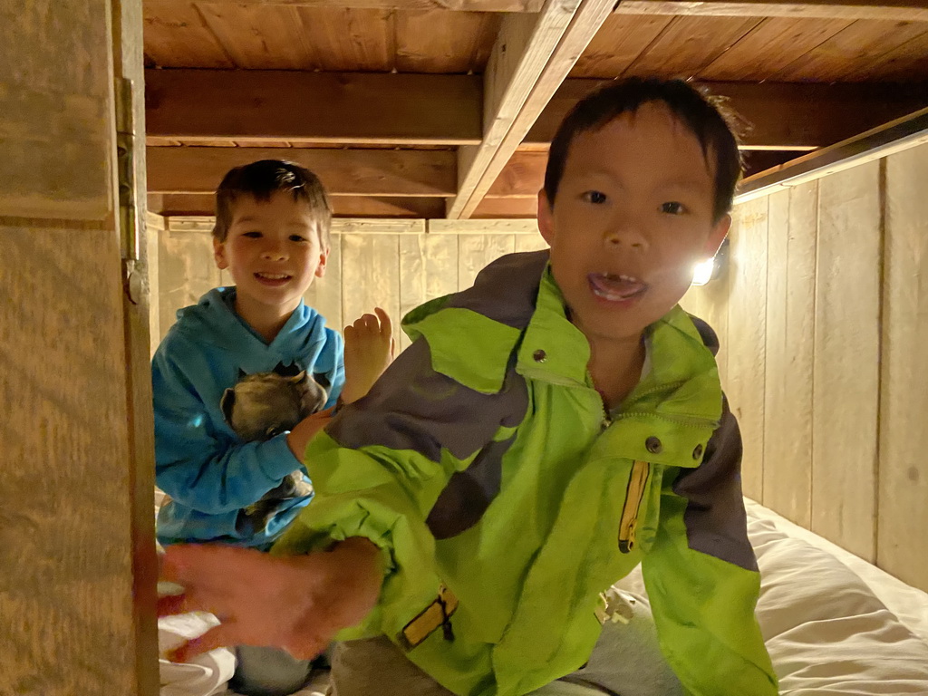 Max and his friend in the closet-bed in our safari tent at the Safari Resort at the Safaripark Beekse Bergen