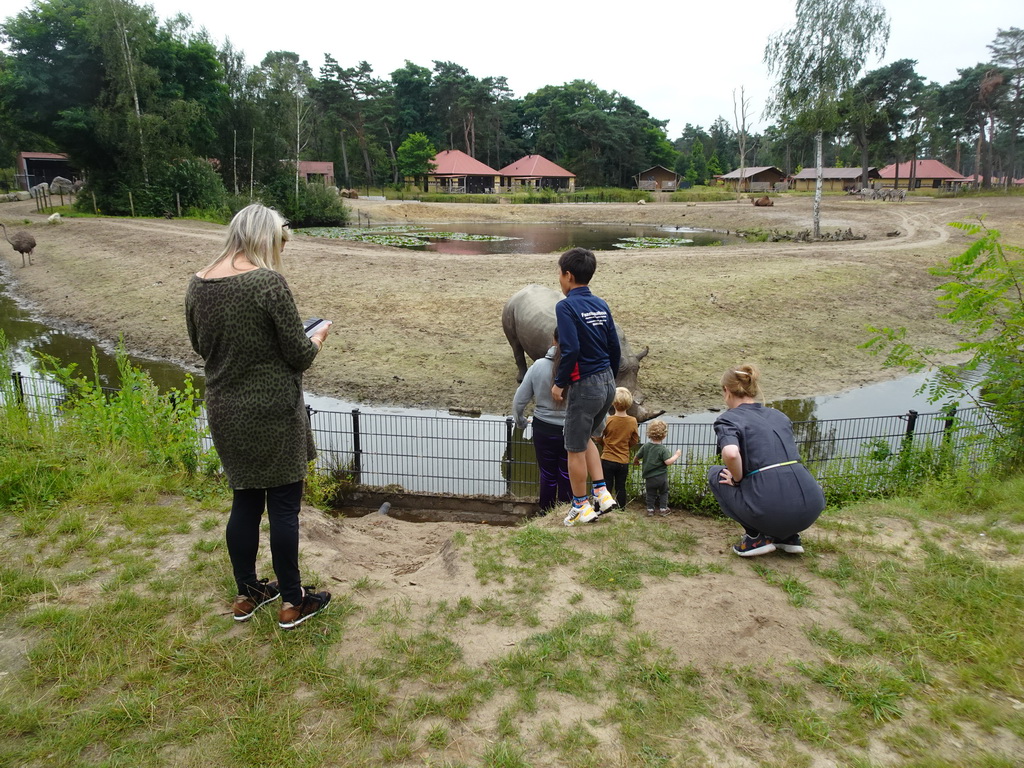 Max`s friend with a Square-lipped Rhinoceros, Ostrich, Dromedary and Grévy`s Zebras at the Serengeti area at the Safari Resort at the Safaripark Beekse Bergen