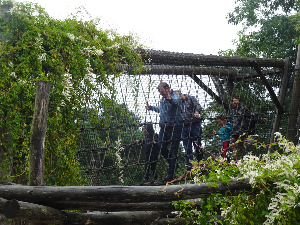 Max`s friends at the walkway over the Sloth Bear enclosure at the Safaripark Beekse Bergen