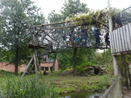 Max`s friends at the walkway over the Sloth Bear enclosure at the Safaripark Beekse Bergen