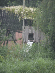 Walkway and slide at the Sloth Bear enclosure at the Safaripark Beekse Bergen