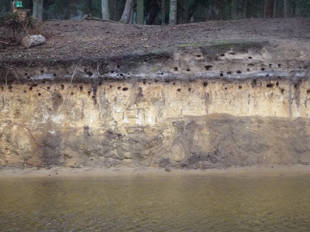 Holes with bird nests at the Safaripark Beekse Bergen, viewed from the safari boat during the Boatsafari