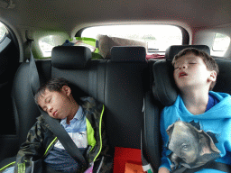Max and his friend sleeping in the car during the Autosafari at the Safaripark Beekse Bergen