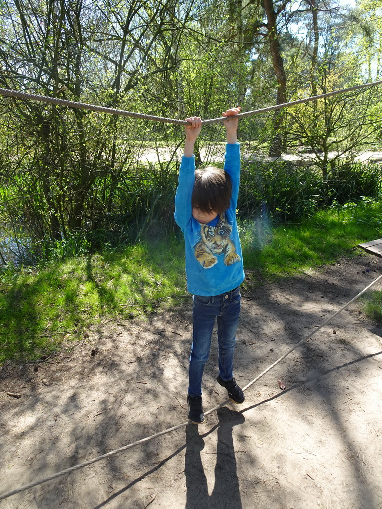 Max on a rope bridge at the playground at the Ring-tailed Lemur enclosure at the Safaripark Beekse Bergen
