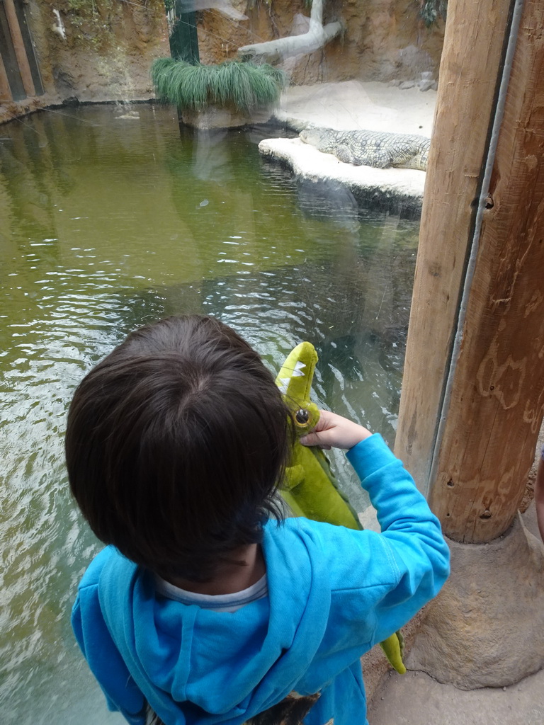 Max with his plush crocodile toy and a Nile Crocodile at the Hippopotamus and Crocodile enclosure at the Safaripark Beekse Bergen